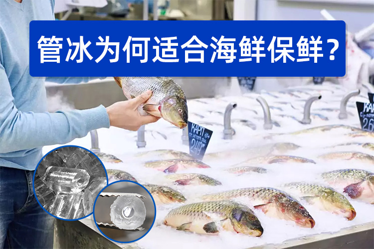 管冰為何如此適合海鮮保鮮？